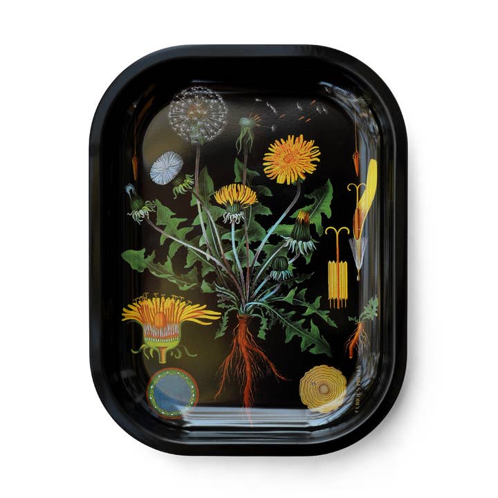 Curious Prints Small Metal Catchall Vintage Tray Dandelion