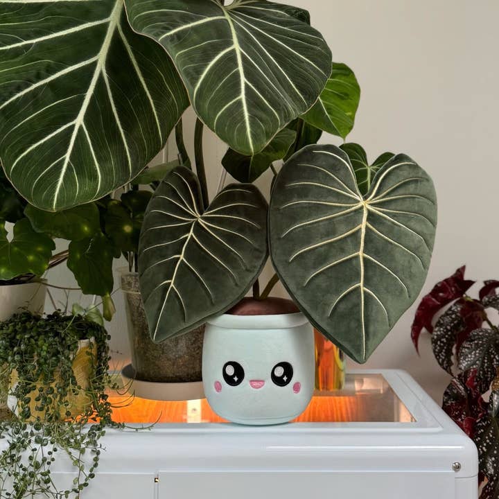 Blushiez Philodendron Gloriosum Plushie