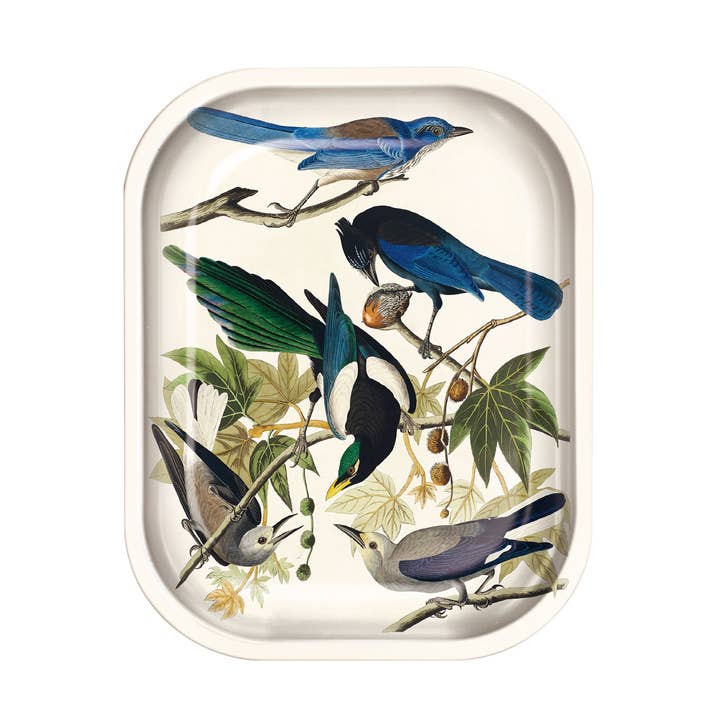 Curious Prints Small Metal Catchall Vintage Tray Audubon Magpie and Jaybirds