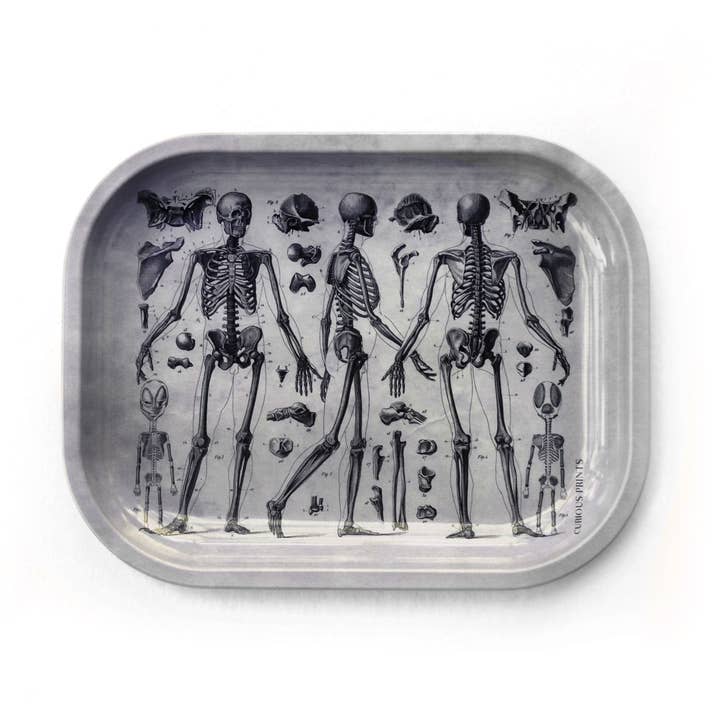 Curious Prints Small Metal Catchall Vintage Tray Skeleton