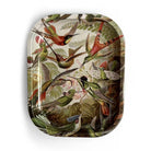 Curious Prints Small Metal Catchall Vintage Tray Haeckel Hummingbirds