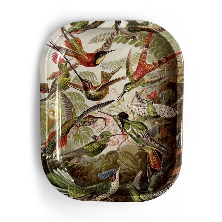 Curious Prints Small Metal Catchall Vintage Tray Haeckel Hummingbirds