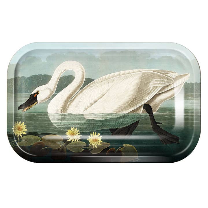 Curious Prints Metal Catchall Tray Swan