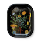 Curious Prints Small Metal Catchall Vintage Tray Dandelion