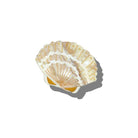 Solar Eclipse Hand-Painted Seashell Claw Hair Clip by Solar Eclipse