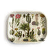 Curious Prints Small Metal Catchall Vintage Tray by Curious Prints