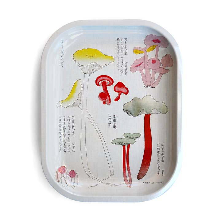 Curious Prints Small Metal Catchall Vintage Tray Japanese Mushroom
