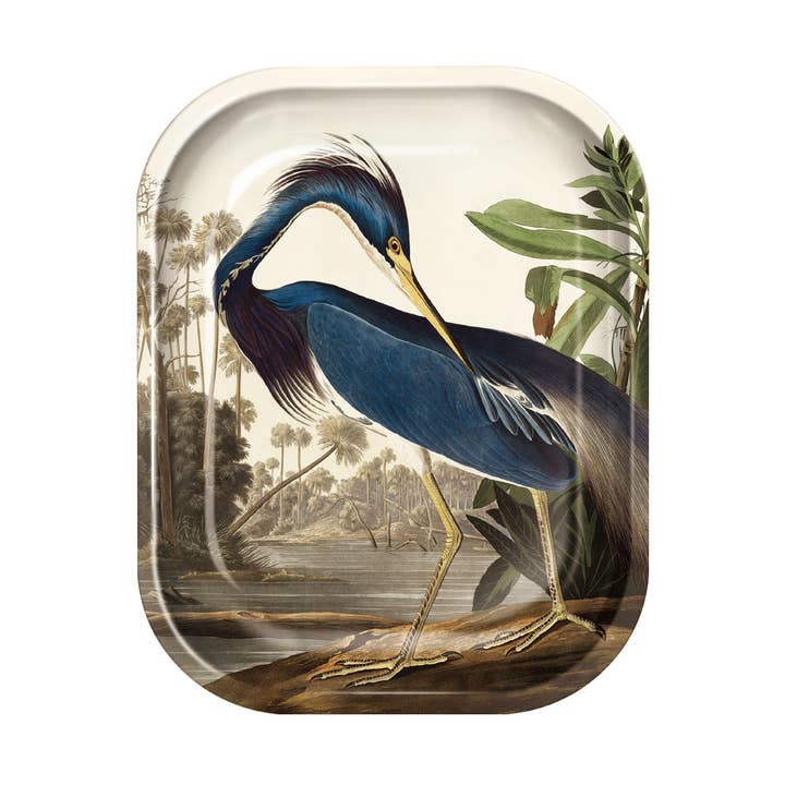 Curious Prints Small Metal Catchall Vintage Tray Audubon Louisiana