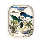 Curious Prints Small Metal Catchall Vintage Tray Audubon Magpie and Jaybirds