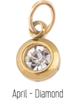 farrah b Jewelry Birth Stone Charms