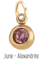 farrah b Jewelry Birth Stone Charms