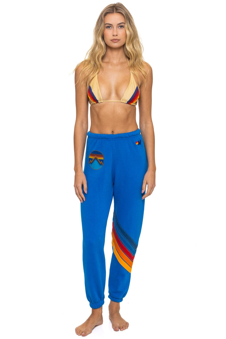 Aviator Nation All Seasons Circle Chevron Sweatpant - Multiple Colors