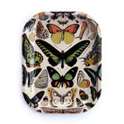 Curious Prints Small Metal Catchall Vintage Tray Butterfly