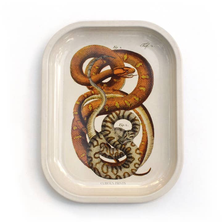 Curious Prints Small Metal Catchall Vintage Tray Snake Ritual