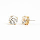 Violet & Brooks Cleo Boxed Crystal Post Earrings by Violet & Brooks