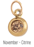 farrah b Jewelry Birth Stone Charms 