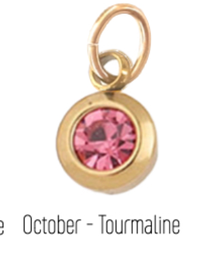 farrah b Jewelry Birth Stone Charms